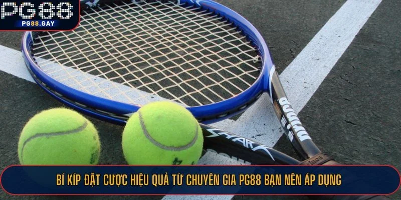 Bí kíp đặt cược hiệu quả từ chuyên gia PG88 bạn nên áp dụng