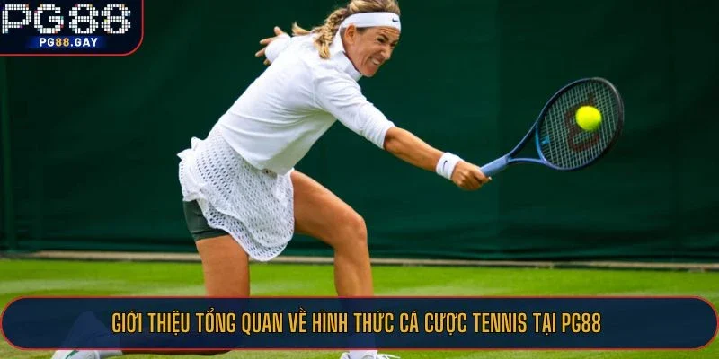 Giới thiệu tổng quan về hình thức cá cược tennis tại PG88