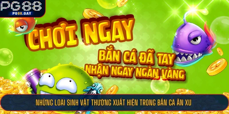 Những loài sinh vật thường xuất hiện trong bắn cá ăn xu