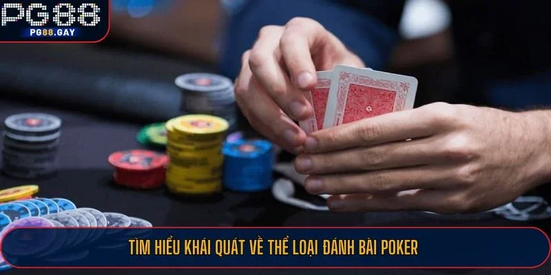 Tìm hiểu khái quát về thể loại đánh bài Poker
